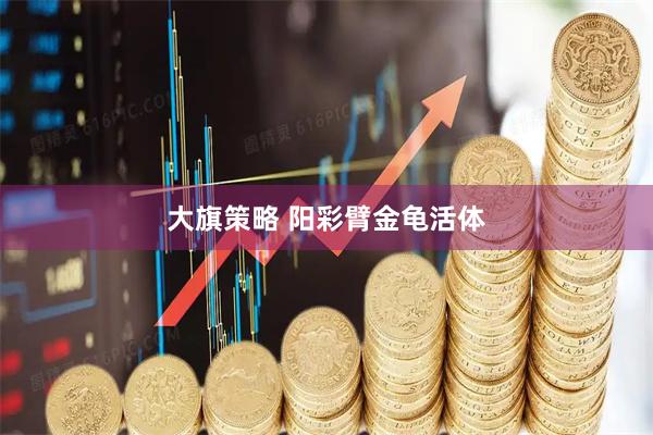 大旗策略 阳彩臂金龟活体