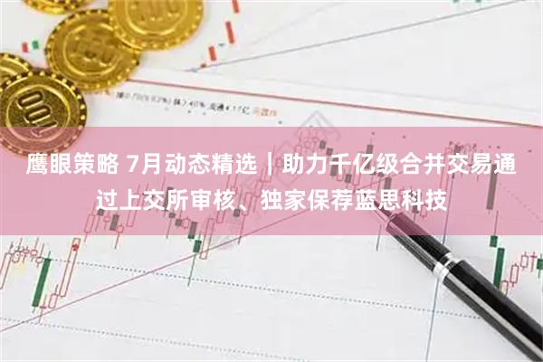 鹰眼策略 7月动态精选｜助力千亿级合并交易通过上交所审核、独家保荐蓝思科技
