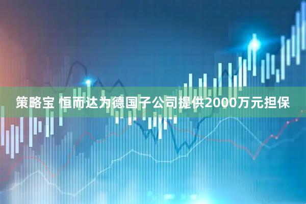策略宝 恒而达为德国子公司提供2000万元担保